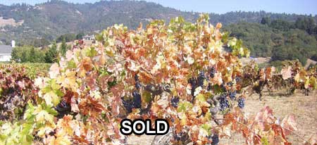 Vineyard sold: Russian River Ranch Property - Reibli Valley Sonoma County