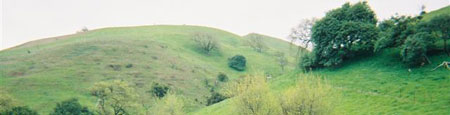 Vineyard sold: Petaluma Ranch