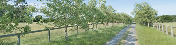 Vineyard sold: Russian River Ranch Property - Russian River